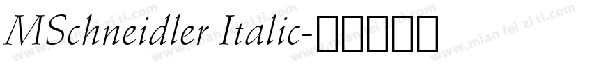 MSchneidler Italic字体转换